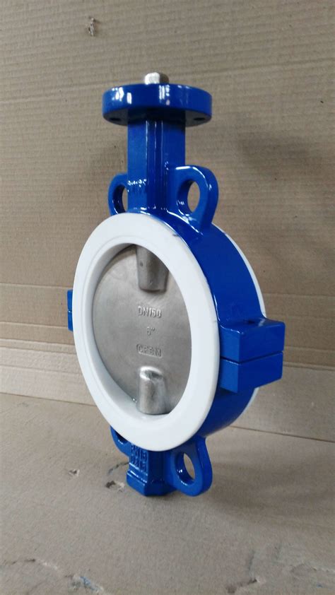 Dn Ptfe Seated Ductile Iron Split Wafer Butterfly Valve