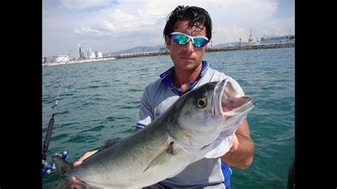 Trabucco TV Come Pescare A Traina Il Pesce Serra Con Saverio Rosa