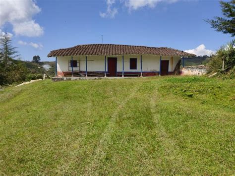 Finca En Venta En Vereda Ovejas San Vicente Antioquia