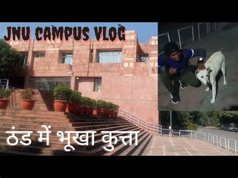 Jnu Campus Night Vlog