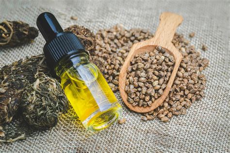 Hemp Oil Vs Cbd Oil The Difference Between Seed Oil And Cannabis Oil