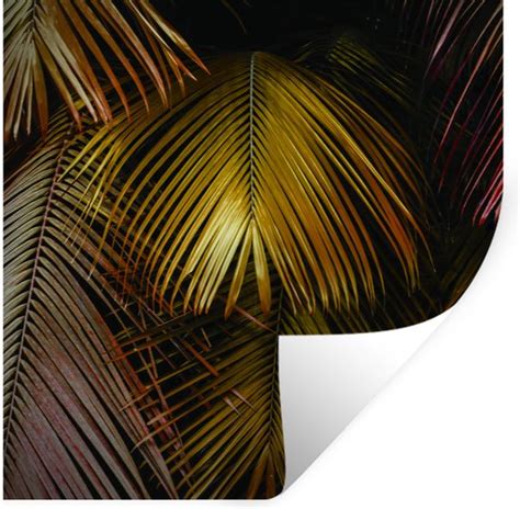 Muurstickers Sticker Folie Jungle Palmboom Goud 100x100 Cm