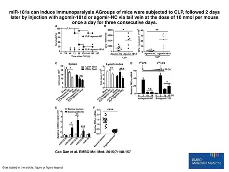 MiR181s Can Induce Immunoparalysis AGroups Of Mice Were Subjected To