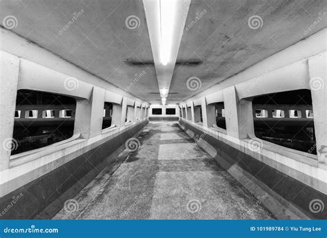Empty Foot Bridge Stock Photo Image Of Footbridge Night 101989784