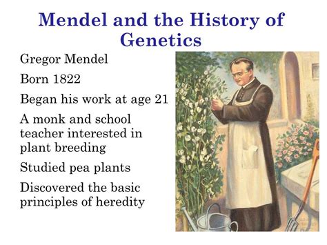 PPT Mendel And The History Of Genetics PowerPoint Presentation Free