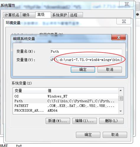 Curl命令下载安装并使用（windows版本） 码农家园