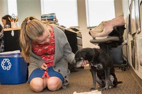 Dogs In Classrooms At These Private Schools Pets Are All Over The