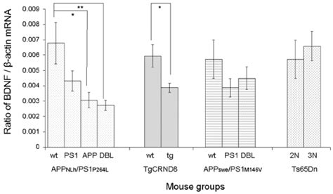 Bdnf Mrna Is Downregulated In App Nlh Ps P L And Tgcrnd But Not