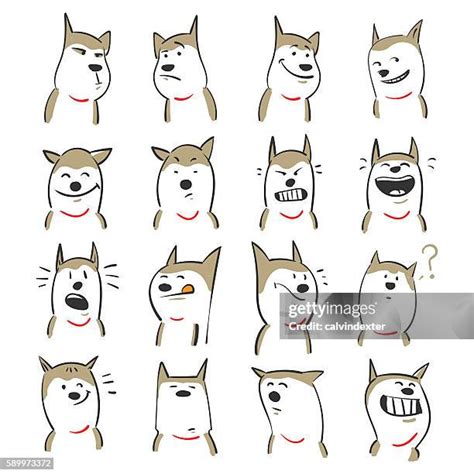 3987 Cute Angry Animals Stock Photos High Res Pictures And Images