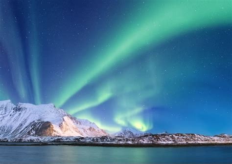 Tromso Northern Lights Festival | Shelly Lighting