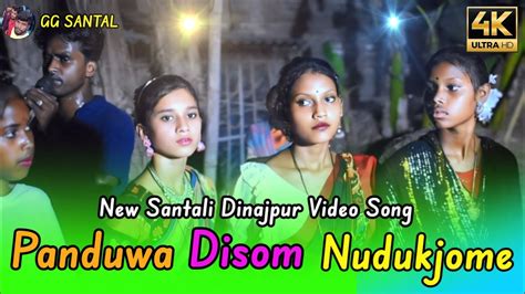 Panduwa Disom Nudukjonme New Santali Dinajpur Video Song 2024