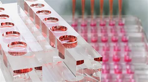 A biochip with organ-specific tissue models for advanced drug screening ...