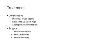 Traumatic Reticulopericarditis PPT