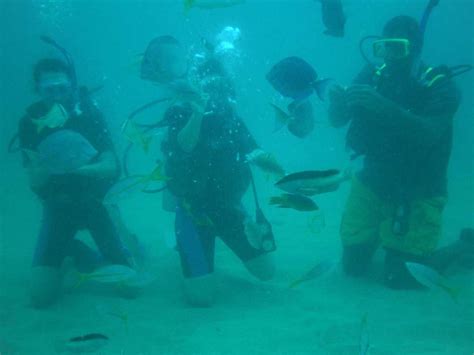 Scuba Diving San Juan Dive Puerto Rico Dive Caribbean Caribe Aquatic