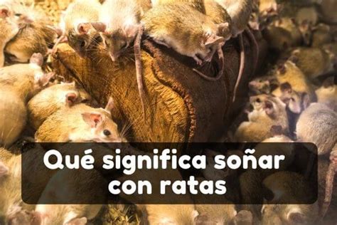 Soñar con Ratas Significado Interpretación y Simbología