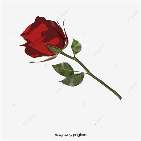 Dibujos Animados De Una Rosa Png Cartoon D A De San Valent N Rose