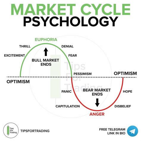 Forex Market Cycle Psychology In Trading Psychology Trading