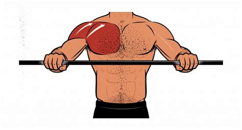 The Overhead Press Hypertrophy Guide Outlift