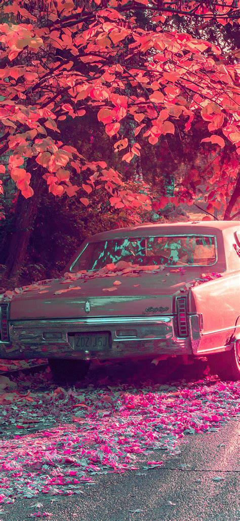 Vintage Car Parked Under Tree Covered By Flowers By Bagfirt