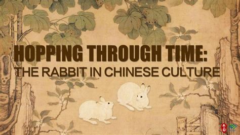 Culture Fact Hopping Through Time Rabbit In Chinese Culture