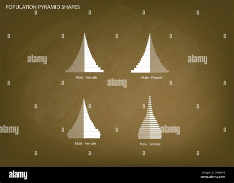 Population And Demography Illustration Of 4 Types Of Population Pyramids Chart Or Age Structure