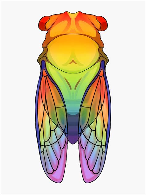 Rainbow Cicada Sticker For Sale By Amerart Redbubble