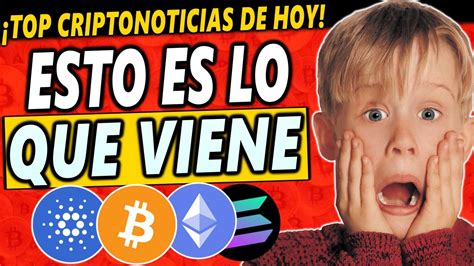 🚨este Será El Peor Año De Bitcoin Por Esto ⚠️ ¿qué Sigue Para Bitcoin Y