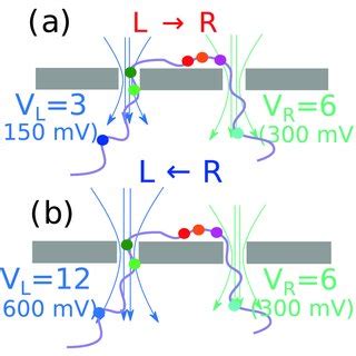 Schematics Of The Dual Nanopore Set Up A The Simulated Dna Construct