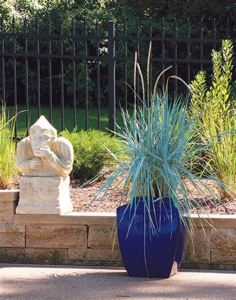 22 Best Ornamental Grasses for Containers + How to Grow them ...