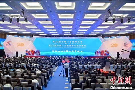 第20届中国—东盟博览会、中国—东盟商务与投资峰会开幕贵港广西壮族自治区农业农村厅