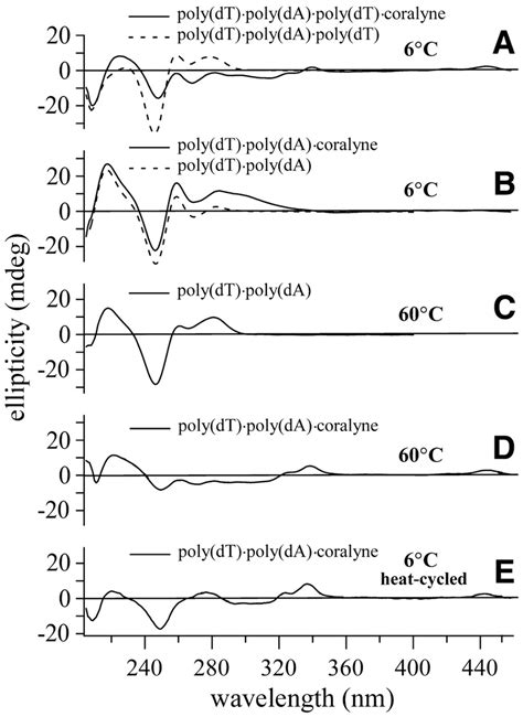 Cd Spectra Of Duplex And Triplex Dna Samples That Demonstrate The