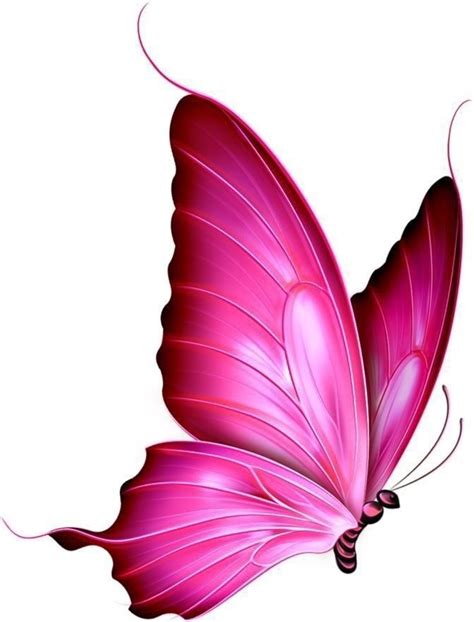 Pin by Feyza Kurtaran on Figür Beautiful butterfly pictures