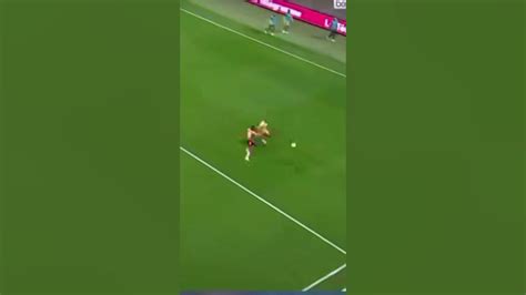 Dribbling Youtube