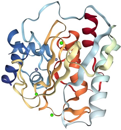 Mmp Protein Overview Sino Biological