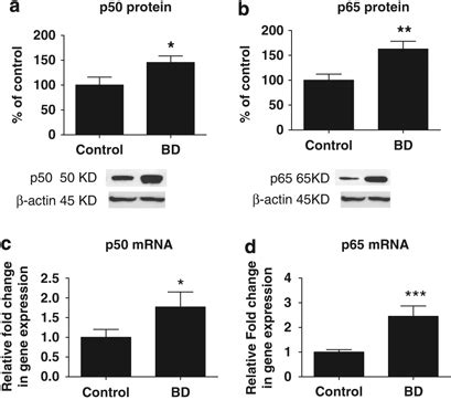 Mean Nuclear Factor Kappa B Nf B P A And Nf B P B Protein