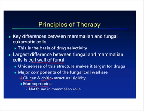 Antifungal Agents Flashcards Quizlet