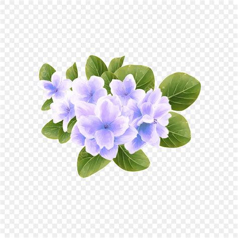 Helle Lila Violett Floral Clip Art Violett Bl Mchen Aquarell Png Und