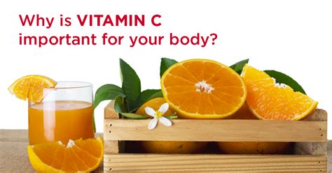 Why Is Vitamin C Important For Your Body Blog Regency Healthcare Ltd