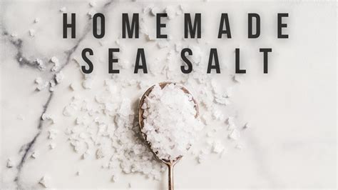 How To Make Salt From Sea Water YouTube