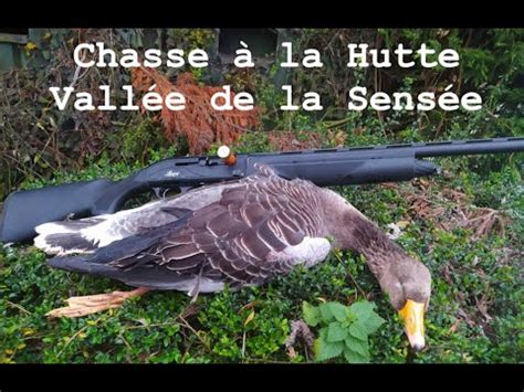 Nuit de Hutte Vallée de la sensée Chasse Oie et Canard YouTube