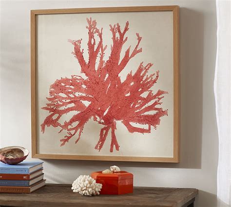 Framed Coral Prints Pottery Barn