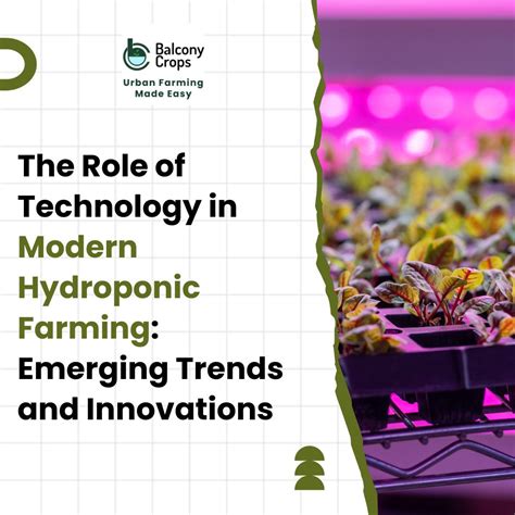 The Role of Technology in Modern Hydroponic Farming: Emerging Trends ...