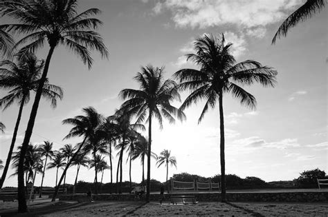 Premium Photo Miami Usa April 15 2021 Lummus Park With Promenade And