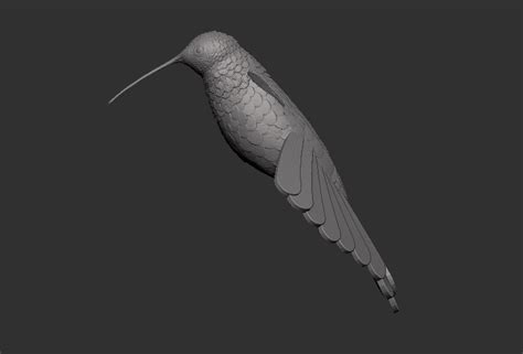 3d File Hummingbird 🐦・3d Print Design To Download・cults