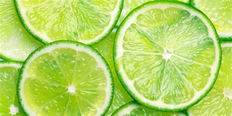 Fruity Facts About Limes The Fact Site