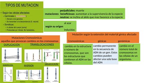 Taller De Ciencias Naturales Para Colegio Pptx Ppt Descarga Gratuita