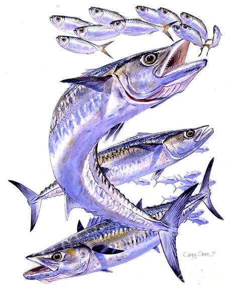 Kingfish Painting Smokers By Carey Chen Fish Art Beautiful Sea