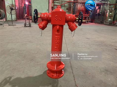 China Customized Two Way Pillar Fire Hydrant Bs750 Manufacturers