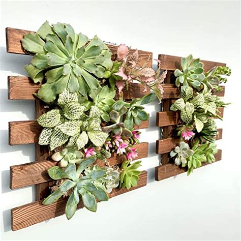 Amazon Shoplala Wall Planter Pack Wooden Hanging Succulent