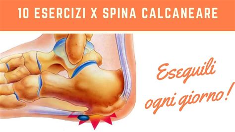 10 Esercizi Per La Spina Calcaneare YouTube